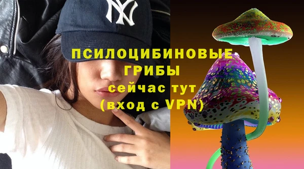 mdpv Армянск