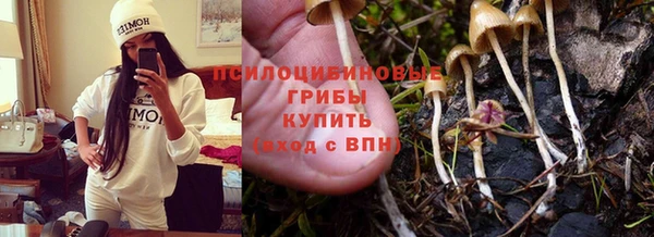 ALPHA-PVP Арсеньев